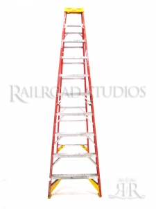 10 STEP LADDER